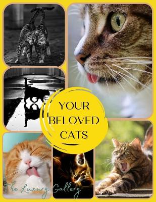 Cover of Your Beloved Cats