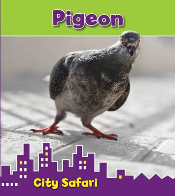 Book cover for Pigeon