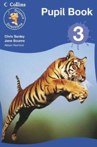 Cover of Year 3 Pupil Book