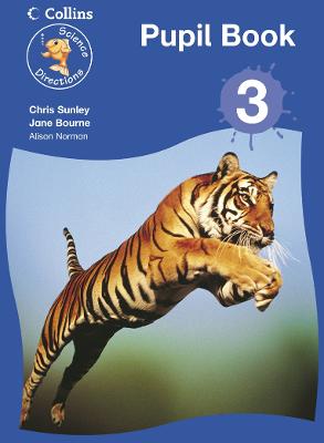 Cover of Year 3 Pupil Book
