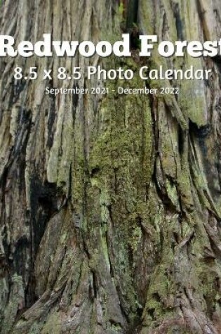 Cover of Redwoods Trees 8.5 X 8.5 Calendar September 2021 -December 2022