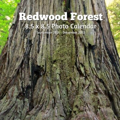 Book cover for Redwoods Trees 8.5 X 8.5 Calendar September 2021 -December 2022