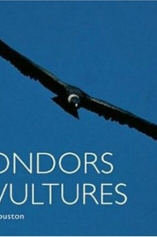 Cover of Condors and Vultures