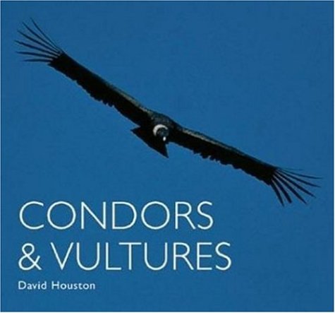 Book cover for Condors and Vultures