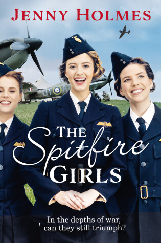 Cover of The Spitfire Girls