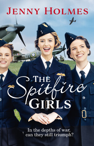 Book cover for The Spitfire Girls