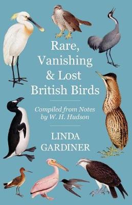 Book cover for Rare, Vanishing and Lost British Birds