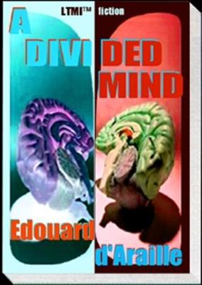 Cover of A Divided Mind