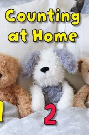 Cover of Counting at Home