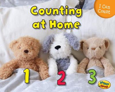 Book cover for Counting at Home