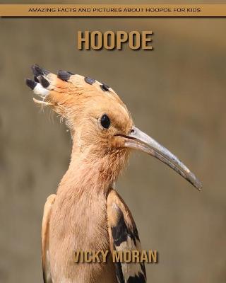 Book cover for Hoopoe