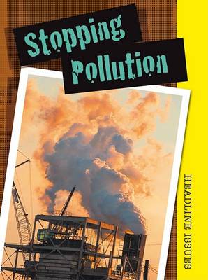 Cover of Stopping Pollution