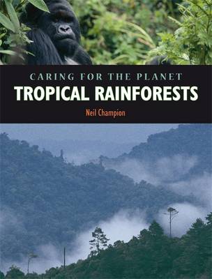 Book cover for Rainforest