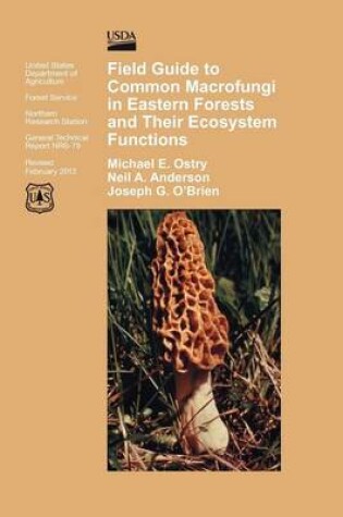 Cover of Field Guide to Common Macrofungi in Eastern Forests and Their Ecosystem Function