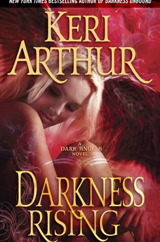 Cover of Darkness Rising