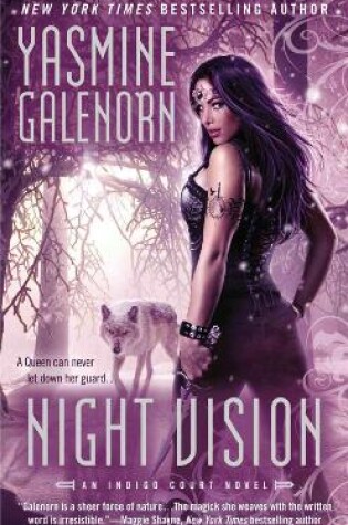 Cover of Night Vision