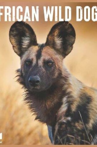 Cover of African Wild Dogs