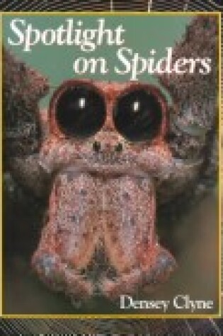 Cover of Spotlight on Spiders