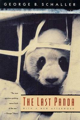 Book cover for Last Panda