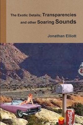 Book cover for The Exotic Details; Transparencies and other Soaring Sounds