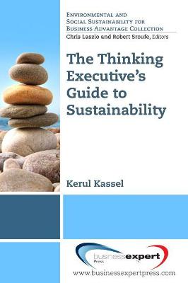Book cover for Applying Systems Thinking to Understanding Sustainable Business