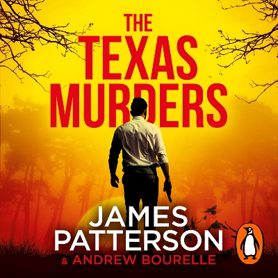 Book cover for The Texas Murders