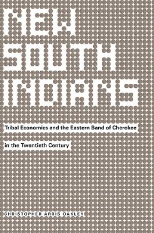 Cover of New South Indians