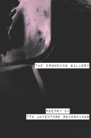 Cover of The Drowning Gallery