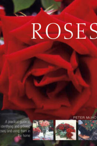 Cover of Roses