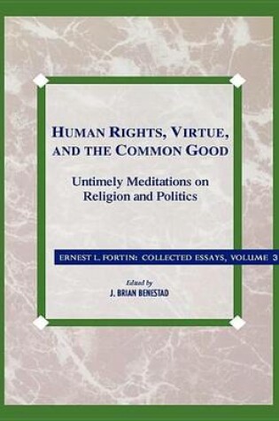 Cover of Human Rights, Virtue and the Common Good