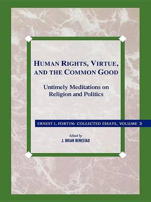 Cover of Human Rights, Virtue and the Common Good