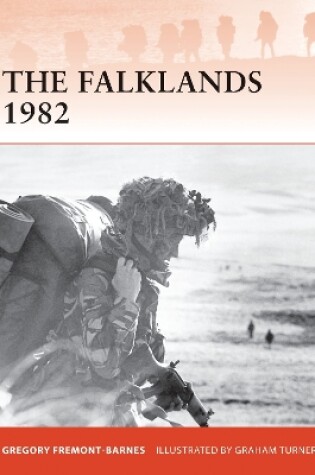 Cover of The Falklands 1982