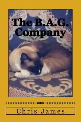 Book cover for The B.A.G. Company