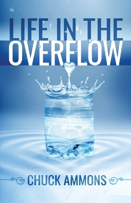 Book cover for Life in the Overflow