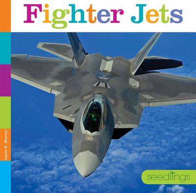 Book cover for Fighter Jets