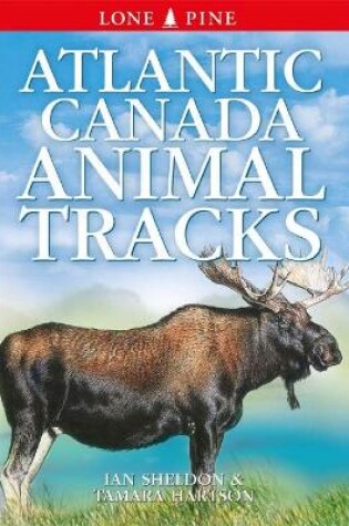Cover of Atlantic Canada Animal Tracks