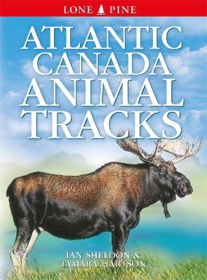 Book cover for Atlantic Canada Animal Tracks