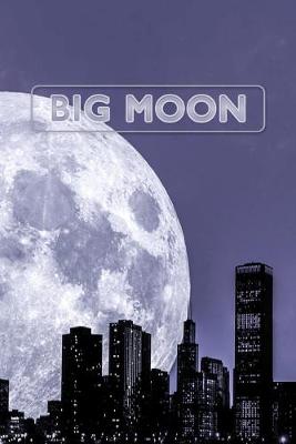Book cover for Big Moon
