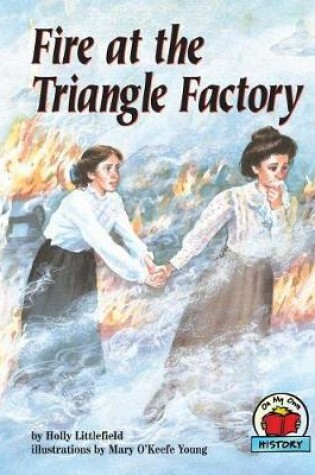 Cover of Fire at the Triangle Factory