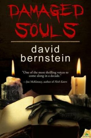 Cover of Damaged Souls