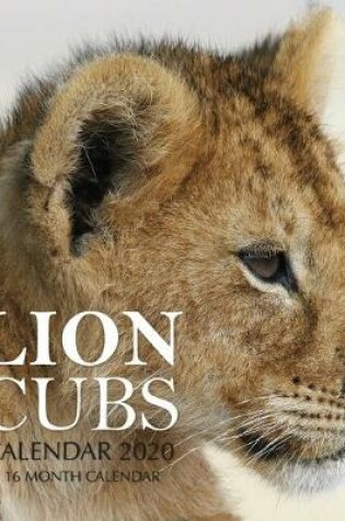 Cover of Lion Cubs Calendar 2020