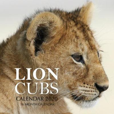 Book cover for Lion Cubs Calendar 2020