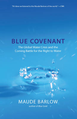 Book cover for Blue Covenant