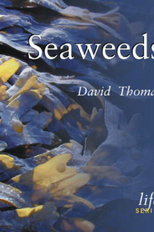 Cover of Seaweeds