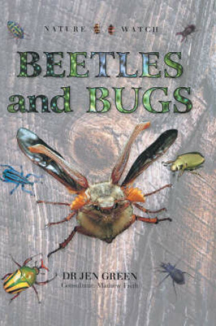 Cover of Beetles and Bugs