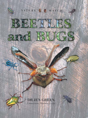 Cover of Beetles and Bugs