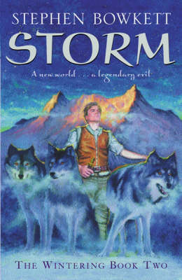 Book cover for Storm