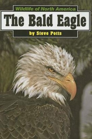 Cover of The Bald Eagle