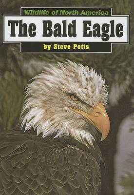 Book cover for The Bald Eagle