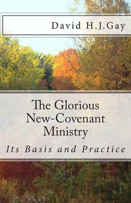 Book cover for The Glorious New-Covenant Ministry